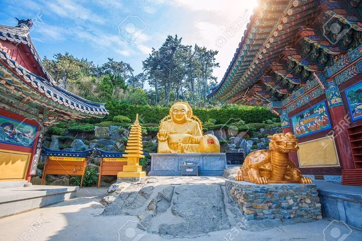 Busan Private Tour - 