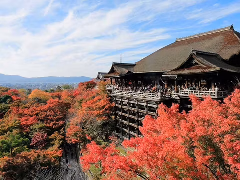 Kyoto the Amzing citycover image