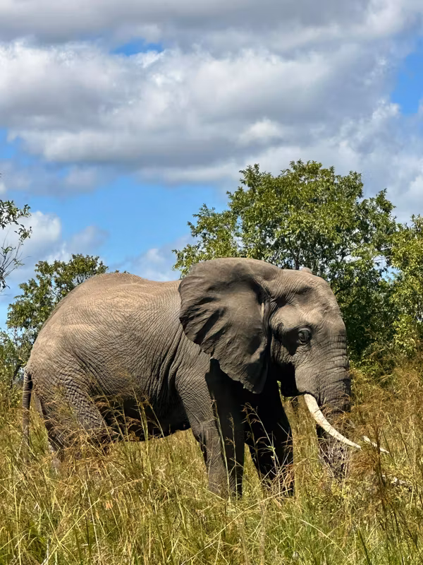 Arusha Private Tour - 