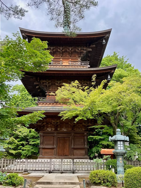 Tokyo Private Tour - Gotokuji Pagoda