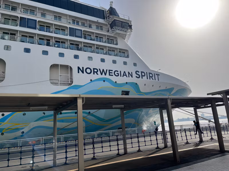 Nagoya Private Tour - Cruise ship guests are welcomed