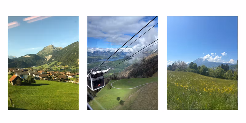Lucerne Private Tour - Views when taking the cable car