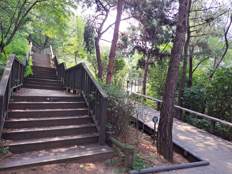 Seoul Private Tour - Namsan Jarak-gil (walking trail)