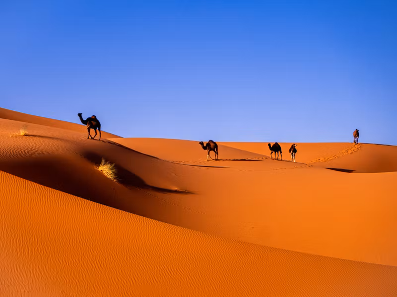 Ouarzazate Private Tour - Erg Chegaga