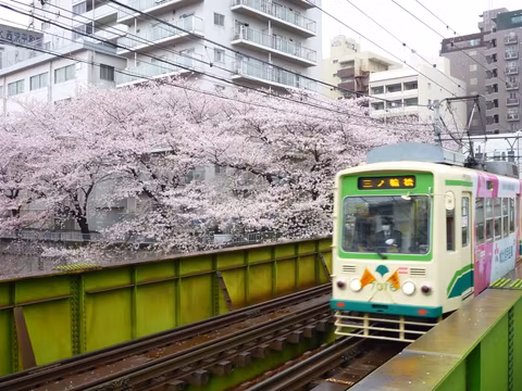 Tokyo’s Sakura tram with cherry blossomscover image