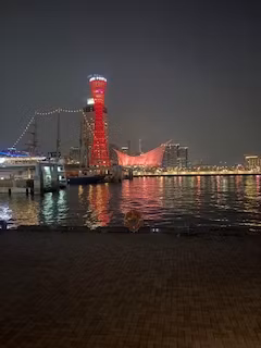 Osaka Private Tour - Kobe port tower