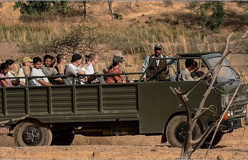 Delhi Private Tour - Vehicle to be used in Safari.
