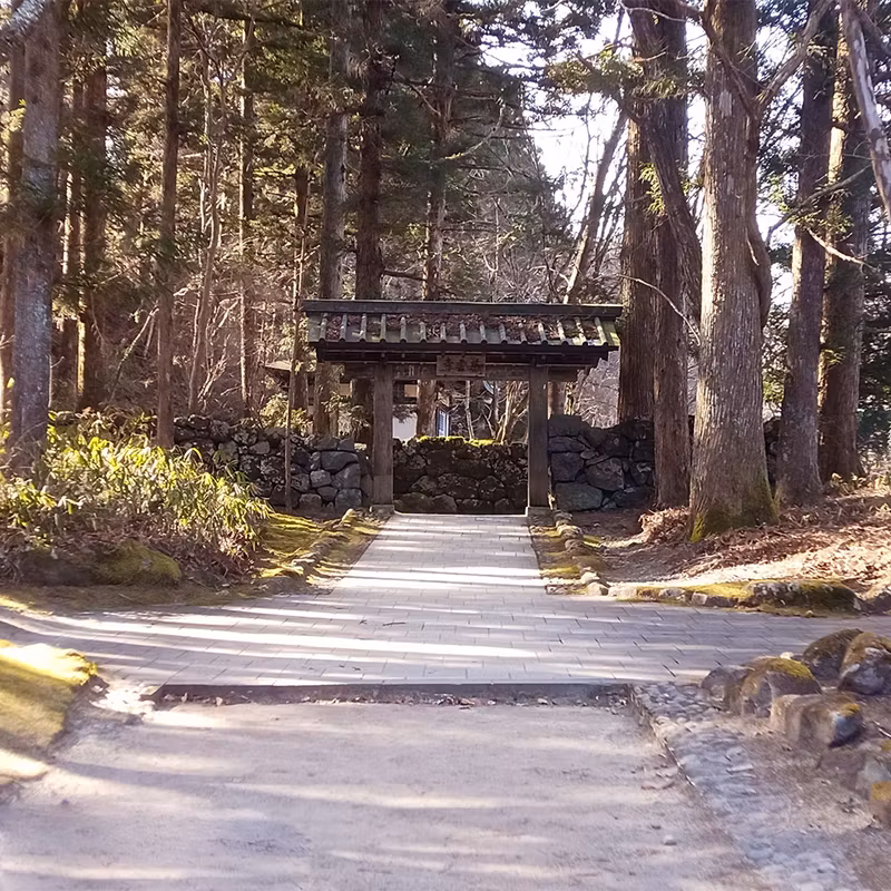 Tokyo Private Tour - Nikko_15