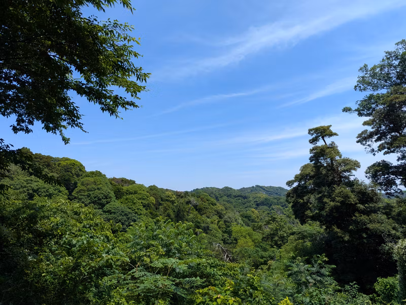Kanagawa Private Tour - 