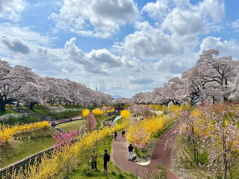 Tokyo Private Tour - 