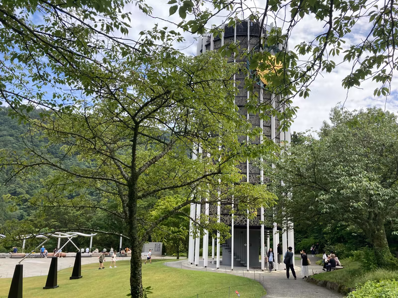 Tokyo Private Tour - A serene fusion of nature and structure.