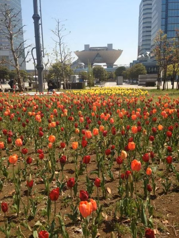 Tokyo Private Tour - Flowers near Tokyo Big Sight