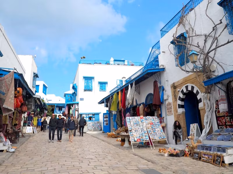 Tunis Private Tour - 