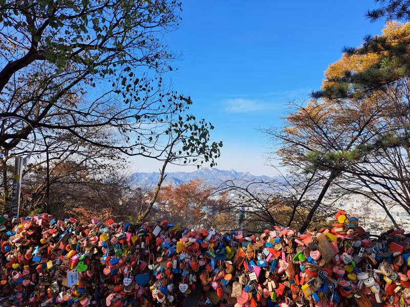 Seoul Private Tour - Namsan Mountain
