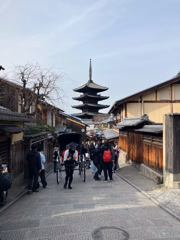 Nagoya Private Tour - 