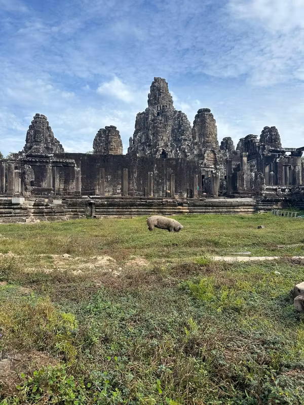 Siem Reap Private Tour - Incroyable Bayon