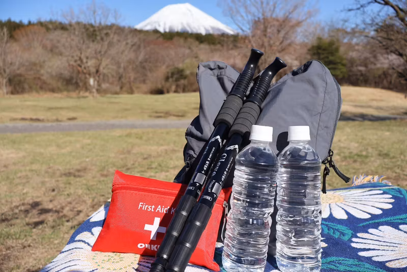 Yamanashi Private Tour - 