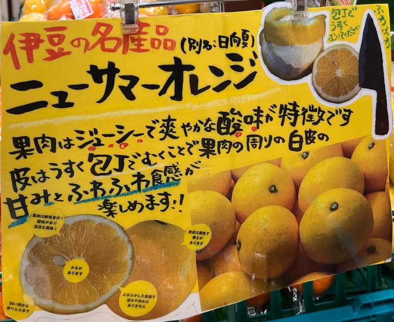 Nagoya Private Tour - Shizuoka’s special orange