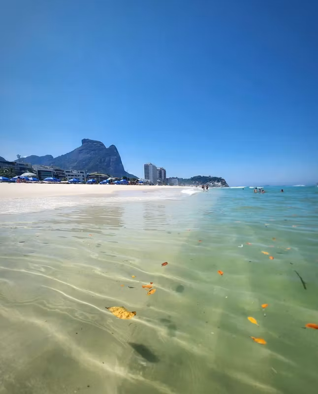 Rio de Janeiro Private Tour - 