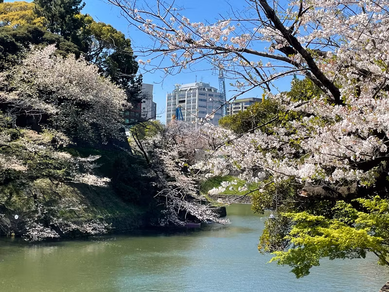Tokyo Private Tour - X2. Chidorigafuchi abyss