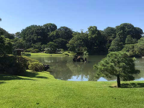 Japanese Gardens and Origami Workshop in Central Tokyocover image