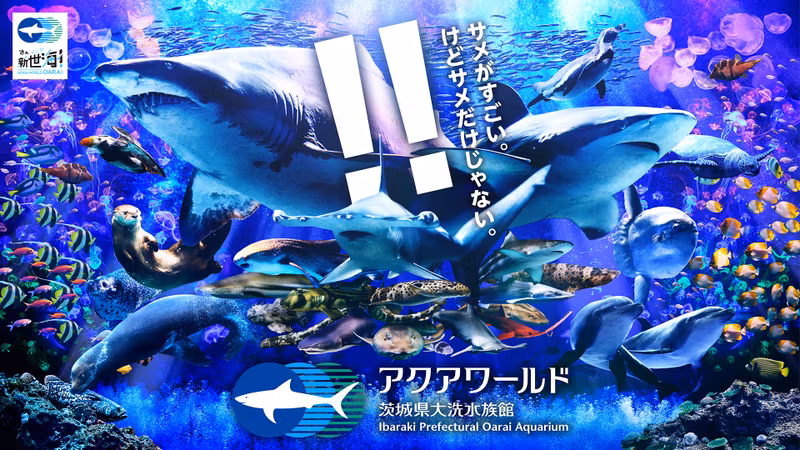 Ibaraki Private Tour - 