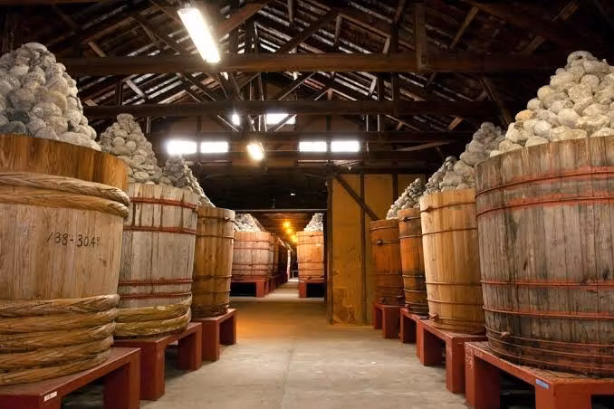 Nagoya Private Tour - 