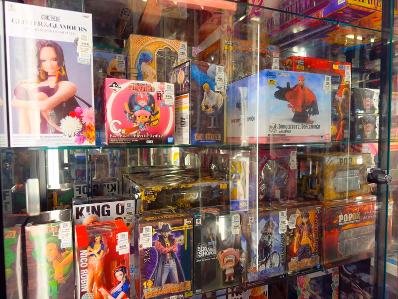 Tokyo Private Tour - An anime fan's dream