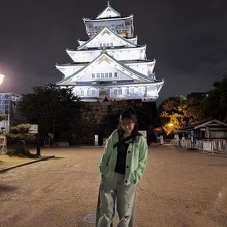 Osaka Private Tour - Osaka castle