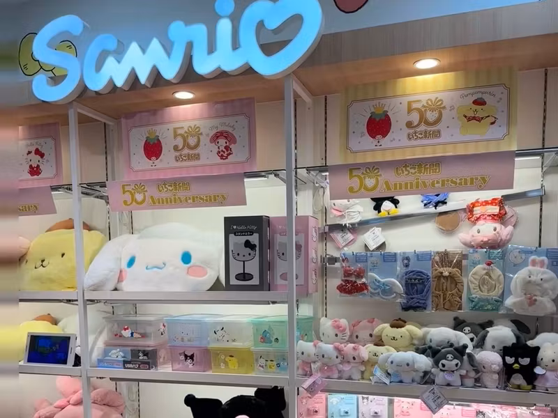Kyoto Private Tour - Sanrio