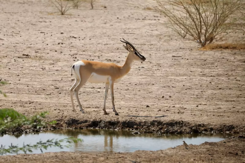 Amhara Private Tour - 