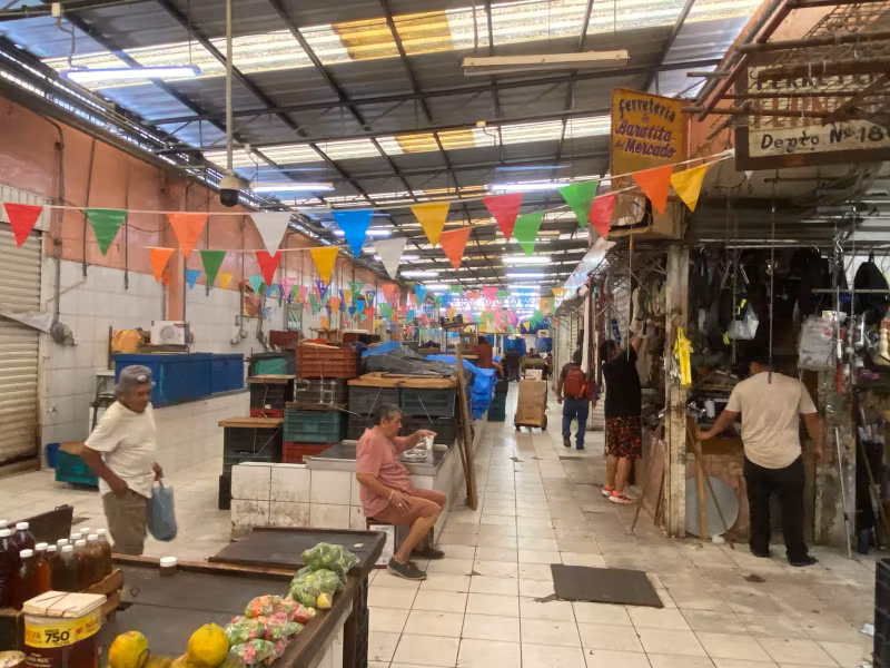 Merida Private Tour - 