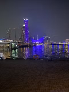 Osaka Private Tour - Kobe port tower lightings view