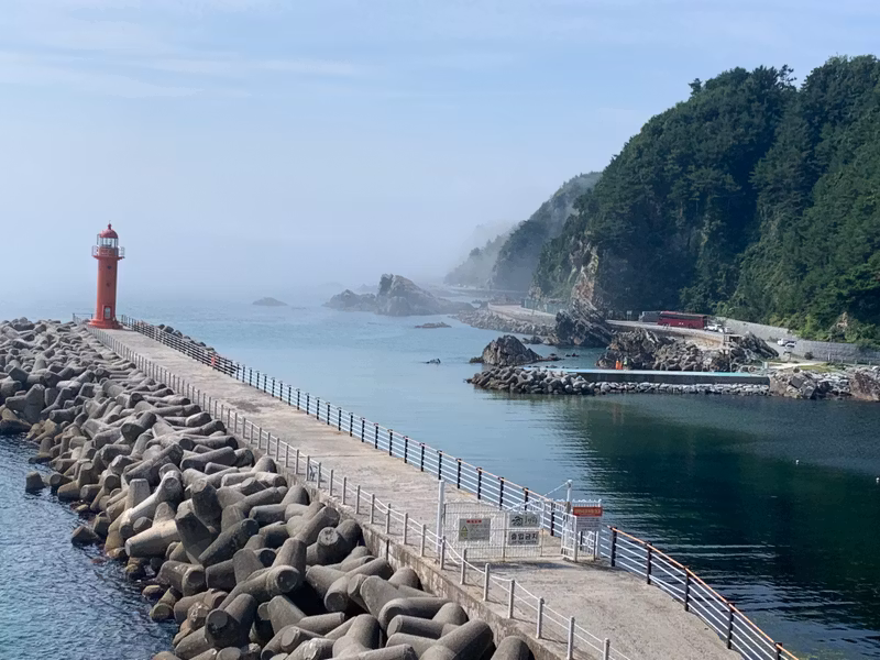 Seoul Private Tour - A view of a harbor in Gangneung