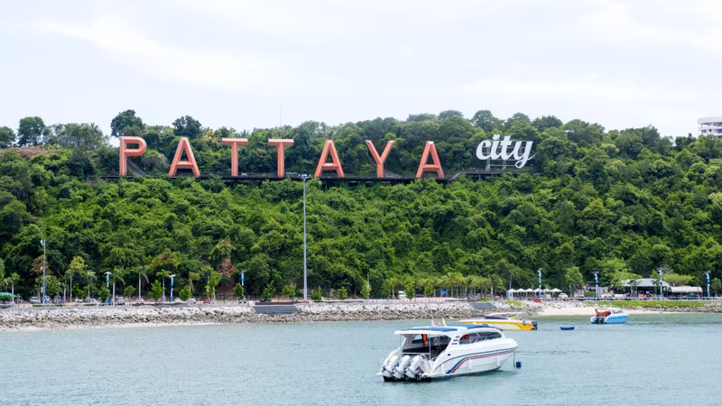 Bangkok Private Tour - Pattaya view