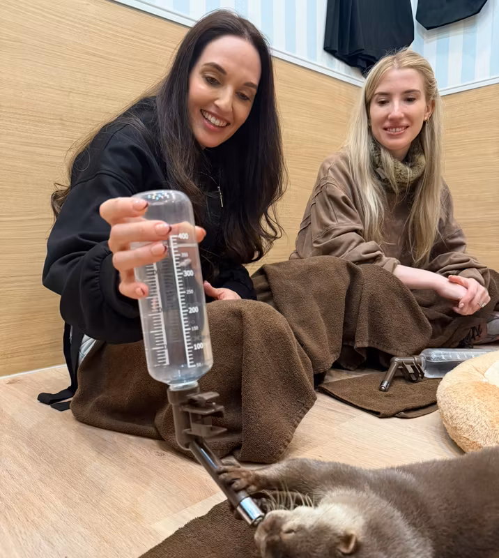 Kyoto Private Tour - animal cafe