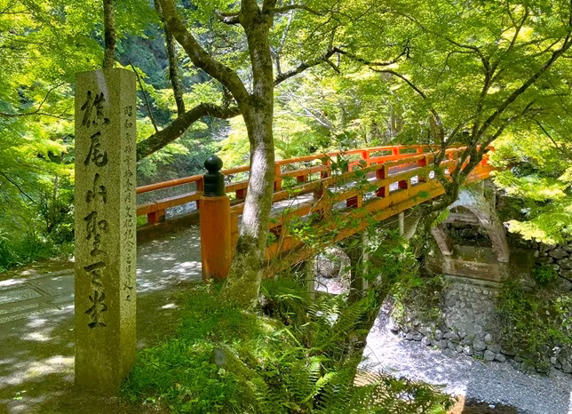 Kyoto Private Tour - Shigetukyo Bridge