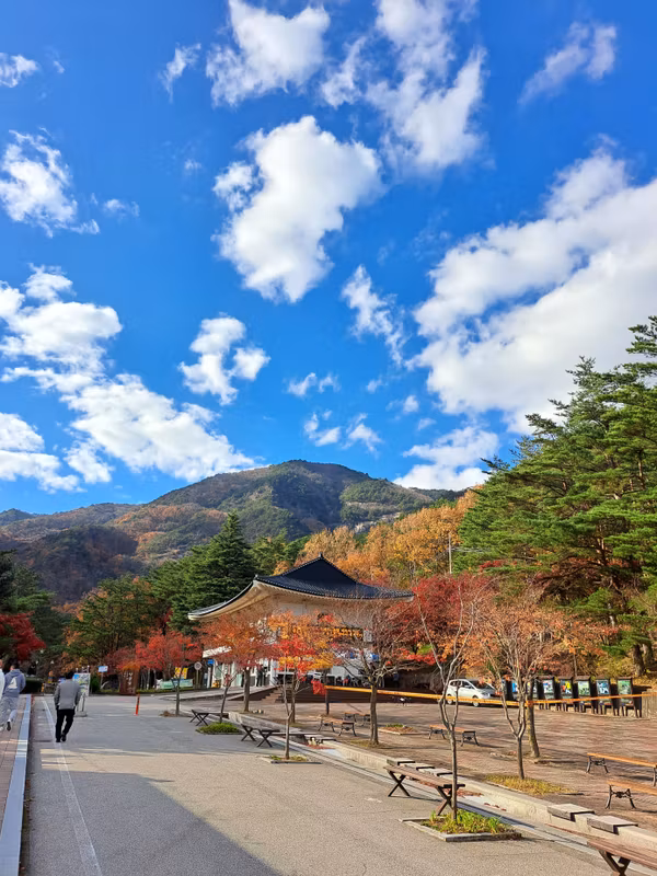 Seoul Private Tour - Korean mountains in autumn