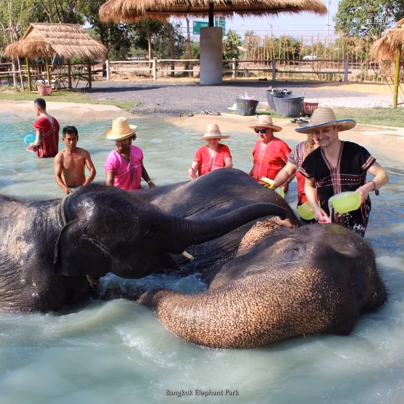 Bangkok Private Tour - Enjoy a mud spa & bathe with the