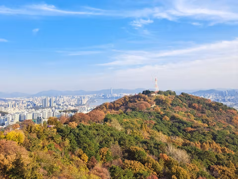 Mt. Namsan Highlights: Views, Culture, and Hidden Gemscover image