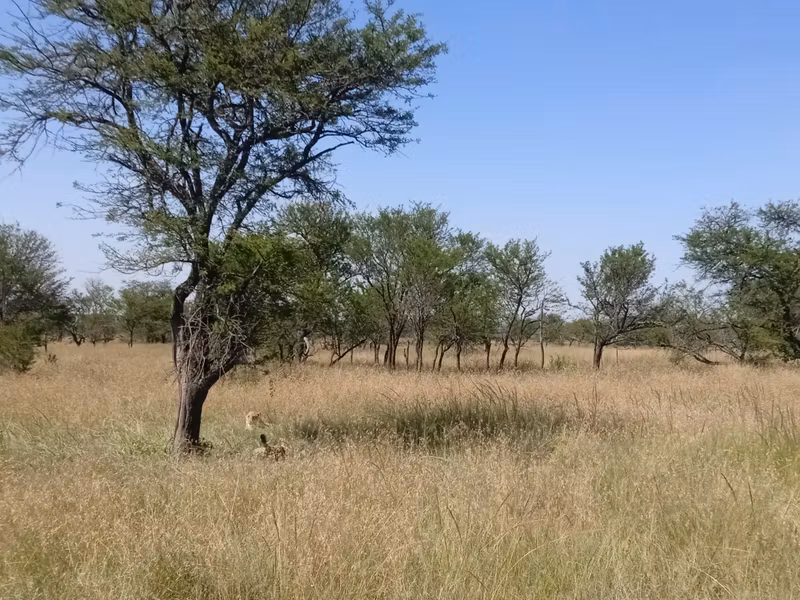 Arusha Private Tour - 