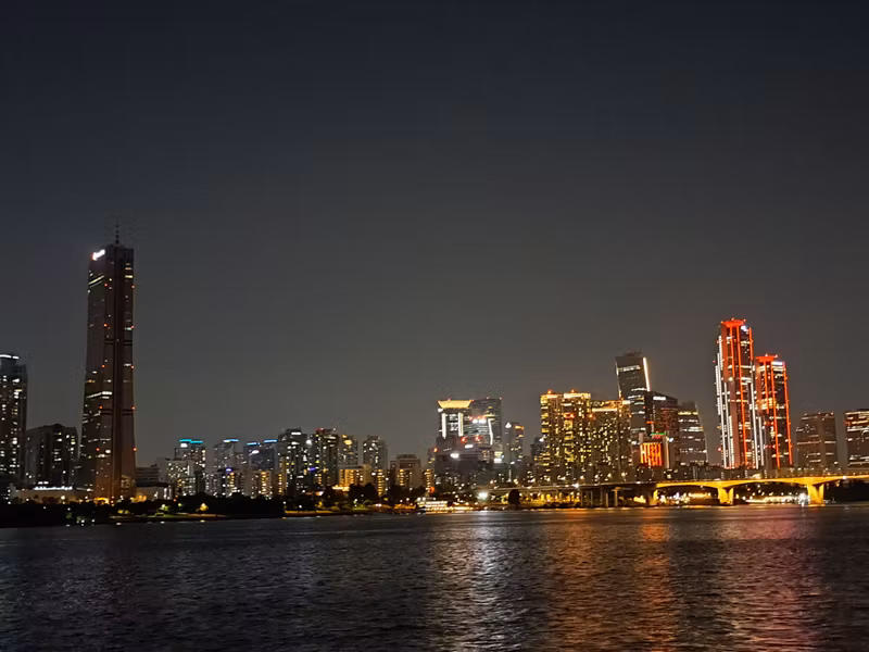 Seoul Private Tour - Night view of the Hangang River