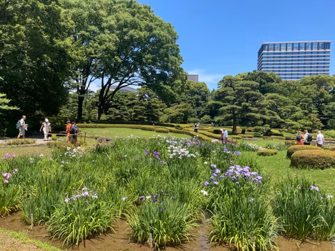 With Romy: A Graceful Walk through the Spirit and Stories of Tokyocover image
