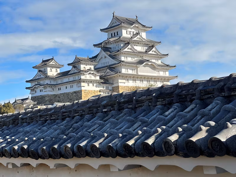 Osaka Private Tour - a view from the angle of Kawara roof
