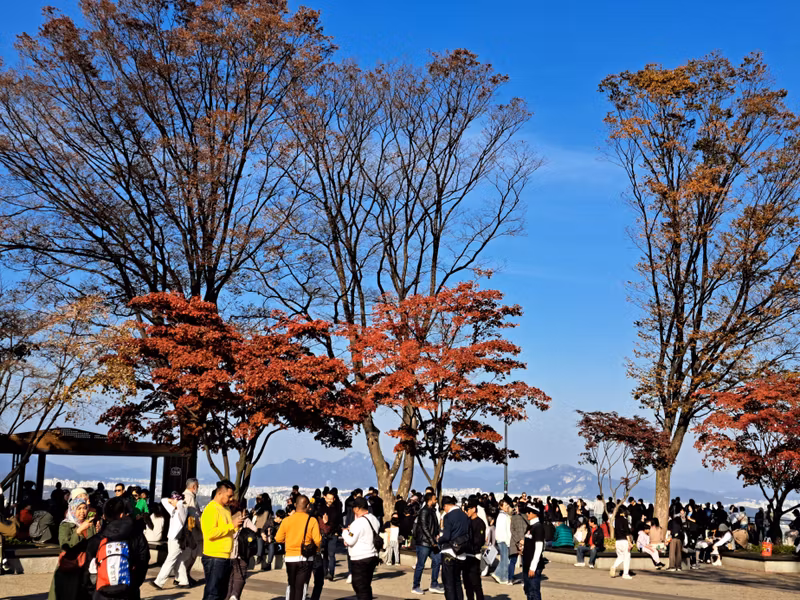 Seoul Private Tour - Namsan Mountain