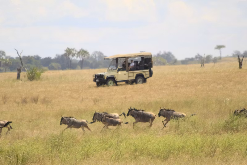 Dar es Salaam Private Tour - 
