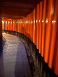 Kyoto Cultural & Scenic Tour - 1