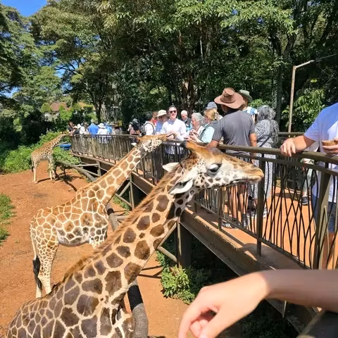 Nairobi Private Tour - 