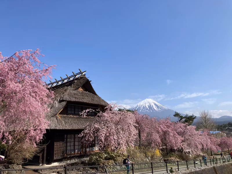 Mount Fuji Private Tour - Scenery of Iyashinosato Nemba during che