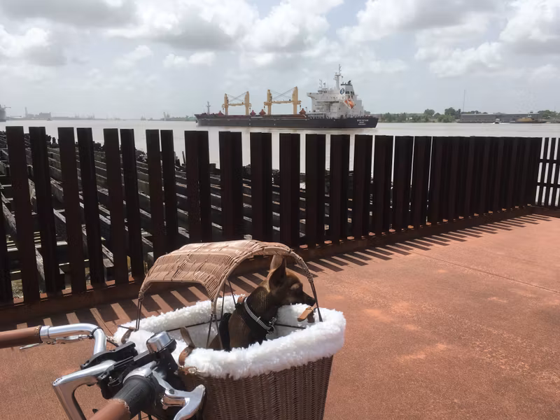 New Orleans Private Tour - Crescent Park